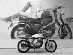 0280_seeley_honda.jpg